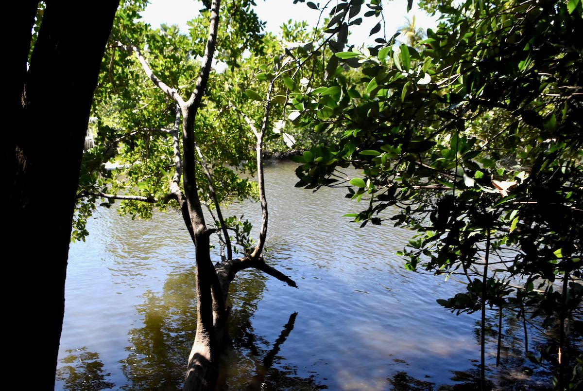 lantana preserve intracoastal waterway